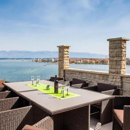 Margarita * זאדאר