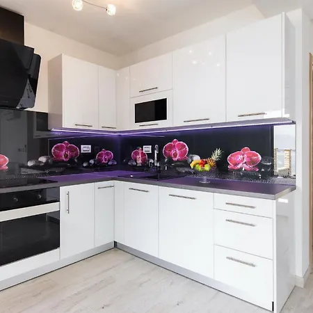 Margarita * זאדאר